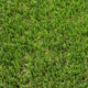 Helmsley 42mm Artificial Grass