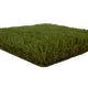 Holly 42mm Artificial Grass 5m