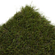 Holly 42mm Artificial Grass 5m