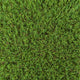 Mayfield 37mm Artificial Grass