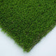 Springs 38 Artificial Grass