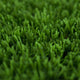 Springs 38 Artificial Grass