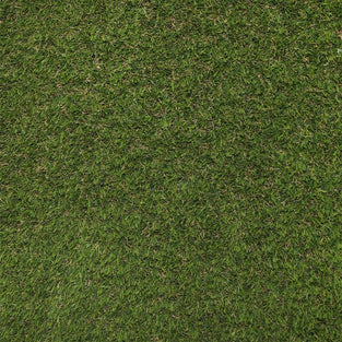 Prize 30 Artificial Grass