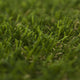 Paris Artificial Grass