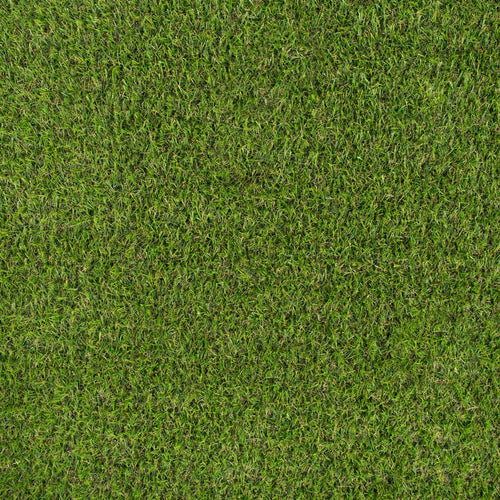Parkdale 20mm Artificial Grass far