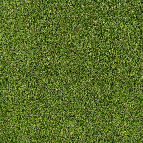 Parkdale 20mm Artificial Grass far