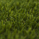 Prize 35 Artificial Grass