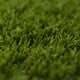 Phoenix 32 Artificial Grass