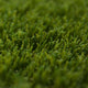 Phoenix 32 Artificial Grass