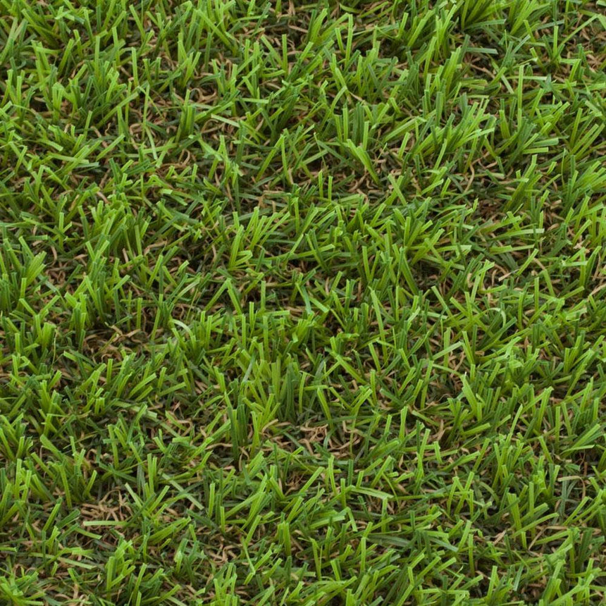 Pine Forest 30mm Artificial Grass - Sample