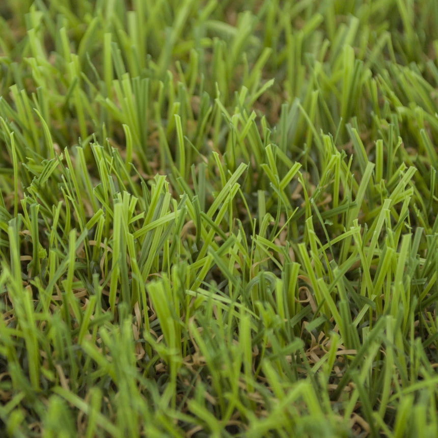 Pine Forest 30mm Artificial Grass - Sample
