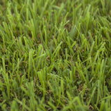 Pine Forest 30mm Artificial Grass - Sample