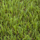Pine Forest 30mm Artificial Grass - Sample