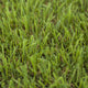 Pine Forest 30mm Artificial Grass