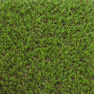 Pine Forest 30mm Artificial Grass