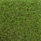 Pine Forest 30mm Artificial Grass