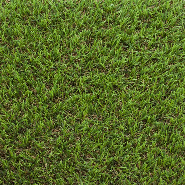 Pine Forest 30mm Artificial Grass - Sample
