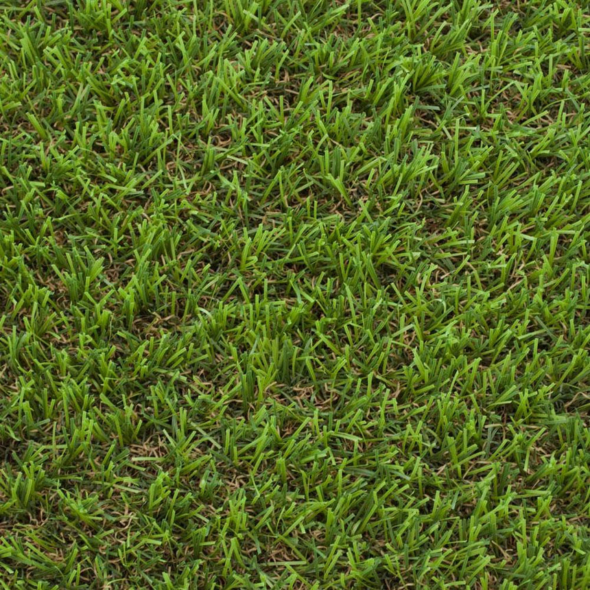 Pine Forest 30mm Artificial Grass - Sample