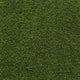 Prize 50 Artificial Grass