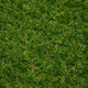 Cleveland 27 Artificial Grass