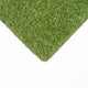 Rawcliffe 17mm Artificial Grass