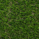 Ainsworth 28 Artificial Grass 2m