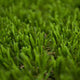 Cascades 28 Artificial Grass