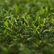 Rotherfield 17mm Artificial Grass close up