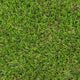 Snowdrop 37mm Artificial Grass