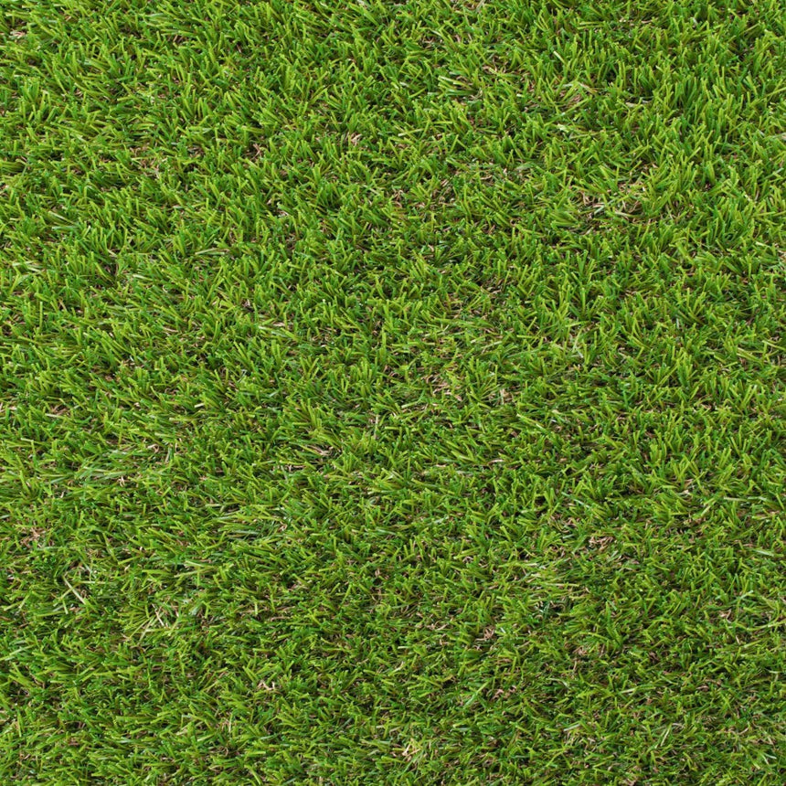 Snowdrop 37mm Artificial Grass