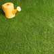 Snowdrop 37mm Artificial Grass