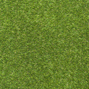 Spring Brook 20mm Artificial Grass