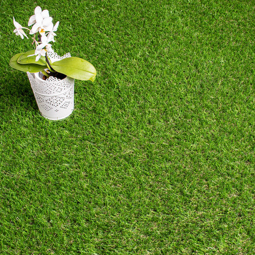 Sprucepark 25mm Artificial Grass