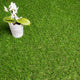 Sprucepark 25mm Artificial Grass 5m