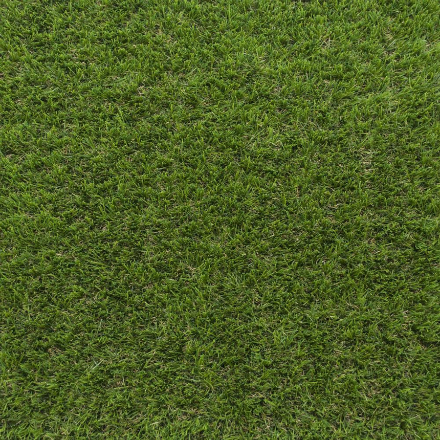 Stallion 38 Artificial Grass