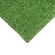 Super Budget 6mm Artificial Grass