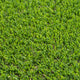 Teakham 30mm Artificial Grass