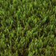 Wembley Striped 30mm Artificial Grass