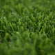 Everglade 28 Artificial Grass